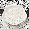 6/0 Glass Seed Beads SEED-M012-01A-16-2