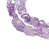 Natural Amethyst Beads Strands G-P497-01E-21-4