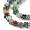 Natural Indian Agate Beads Strands G-G085-B48-02-4