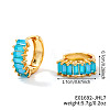 Brass Rectangle Hoop Earrings NZ4361-24-1