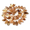 Natural Citrine(Heated) Beads Strands G-P604-A25-01-3
