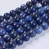 Natural Sodalite Beads Strands G-G515-10mm-07-1