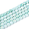 Anti-Tarnish Electroplate Glass Beads Strands GLAA-N057-6mm-02-1