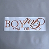 PVC Self-Adhesive Decorative Stickers STIC-WH20010-18-1