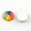 Half Round/Dome Mix Photo Glass Flatback Cabochons for DIY Projects GGLA-Q037-10mm-06-2