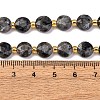 Natural Larvikite Beads Strands G-C116-A30-02-6