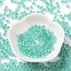 6/0 Glass Seed Beads SEED-Z001-B-E05-2