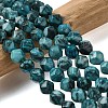Natural Map Stone Beads Strands G-Z119-A23-02-1