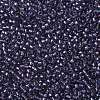 TOHO Round Seed Beads X-SEED-TR11-0265-2