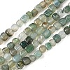 Natural Dragon Veins Agate(Dyed & Heated) Beads Strands G-G177-E11-03-1