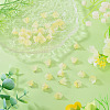 38Pcs Glass Charms GLAA-TADJ0001-19B-4