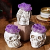 3Pcs Halloween Theme Natural Amethyst Chips Topped Skull Figurine PW-WG7246E-01-1