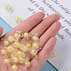 Transparent Acrylic Beads LS-TACR-S152-03A-SS2105-5