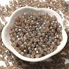 Baking Paint Glass Seed Beads SEED-A032-02A-13-2