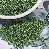 MIYUKI Delica Beads SEED-X0054-DB1786-1