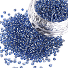 45G about 3000pcs Glass Seed Beads SEED-PA0001-29A-02-1
