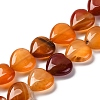 Natural Red Agate Beads Strands G-I372-A03-02-2
