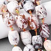Natural Fire Crackle Agate Beads Strands G-P605-D01-01-1