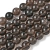 Natural Ice Obsidian Beads Strands G-P590-A03-10mm-01-2