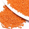 11/0 Grade A Glass Seed Beads SEED-S030-1019-1