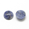 Natural Blue Spot Jasper Cabochons G-R416-10mm-45-2