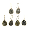 Natural Labradorite Dangle Earrings EJEW-L228-01F-1