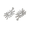 304 Stainless Steel Pendants SA-CBA28C1-02B-P-2