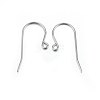 316L Stainless Steel Earring Hooks LS-X-STAS-P210-20P-1