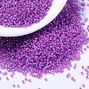 MIYUKI Delica Beads SEED-X0054-DB2049-1