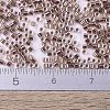 MIYUKI Delica Beads Small SEED-JP0008-DBS0037-4