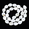 Natural Freshwater Shell Beads Strands SHEL-S278-068-2