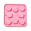 DIY Lollipop Making Food Grade Silicone Molds DIY-P065-13-2