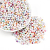 Baking Paint Glass Seed Beads SEED-N007-02A-1