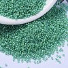 MIYUKI Delica Beads X-SEED-J020-DB2053-1
