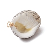 Natural Shell Pendants PALLOY-JF02953-5