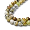 Natural Green Opal Beads Strands G-C029-02A-4