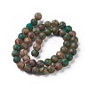 Tibetan Style Turtle Back Pattern dZi Beads Strands X-G-P229-A-04-8mm-5