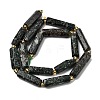 Natural Seraphinite Beads Strands G-D353-A05-3