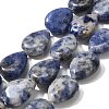 Natural Blue Spot Jasper Beads Strands G-P561-B06-01-1