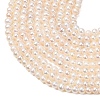 Natural Cultured Freshwater Pearl Beads Strands PA-CBABE82-08B-3