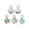 Natural Larimar Pendants PALLOY-JF05255-1