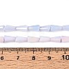Anti-Tarnish Electroplate Glass Beads Strands GLAA-T025-27E-4