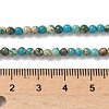 Dyed Natural Regalite/Imperial Jasper/Sea Sediment Jasper Beads Strands G-B124-C05-02-2