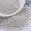 MIYUKI Delica Beads X-SEED-J020-DB0551-1