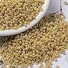 MIYUKI Round Rocailles Beads X-SEED-G008-RR0442-1