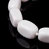 Opaque Glass Graduated Beaded Necklaces NJEW-F120-B01-3