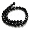 Natural Black Onyx(Dyed & Heated) Beads Strands G-H329-C06-10mm-3