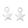 Alloy Charms TIBEB-S039-051S-RS-3