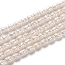Natural Cultured Freshwater Pearl Beads Strands PEAR-L033-65