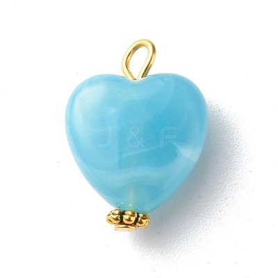 Acrylic Pendants PALLOY-JF00832-1
